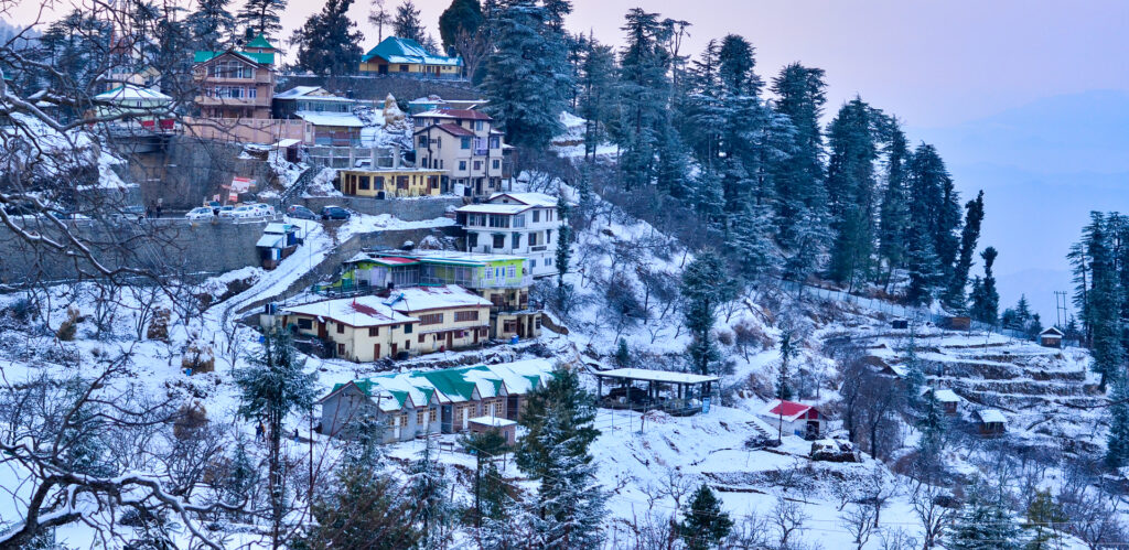 shimla