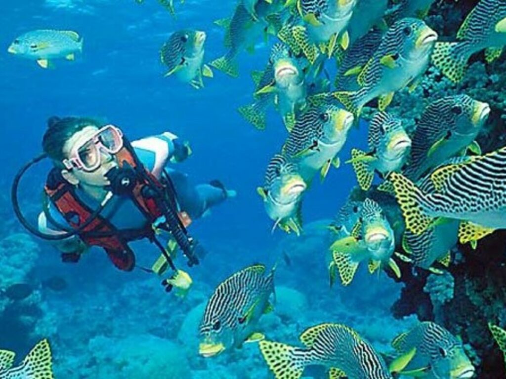 andaman tour package