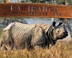 Bhalukpong Dirang Tawang Bomdila Kaziranga Shillong Mawllynnong Cherrapunjee Guwahati Tour Package​