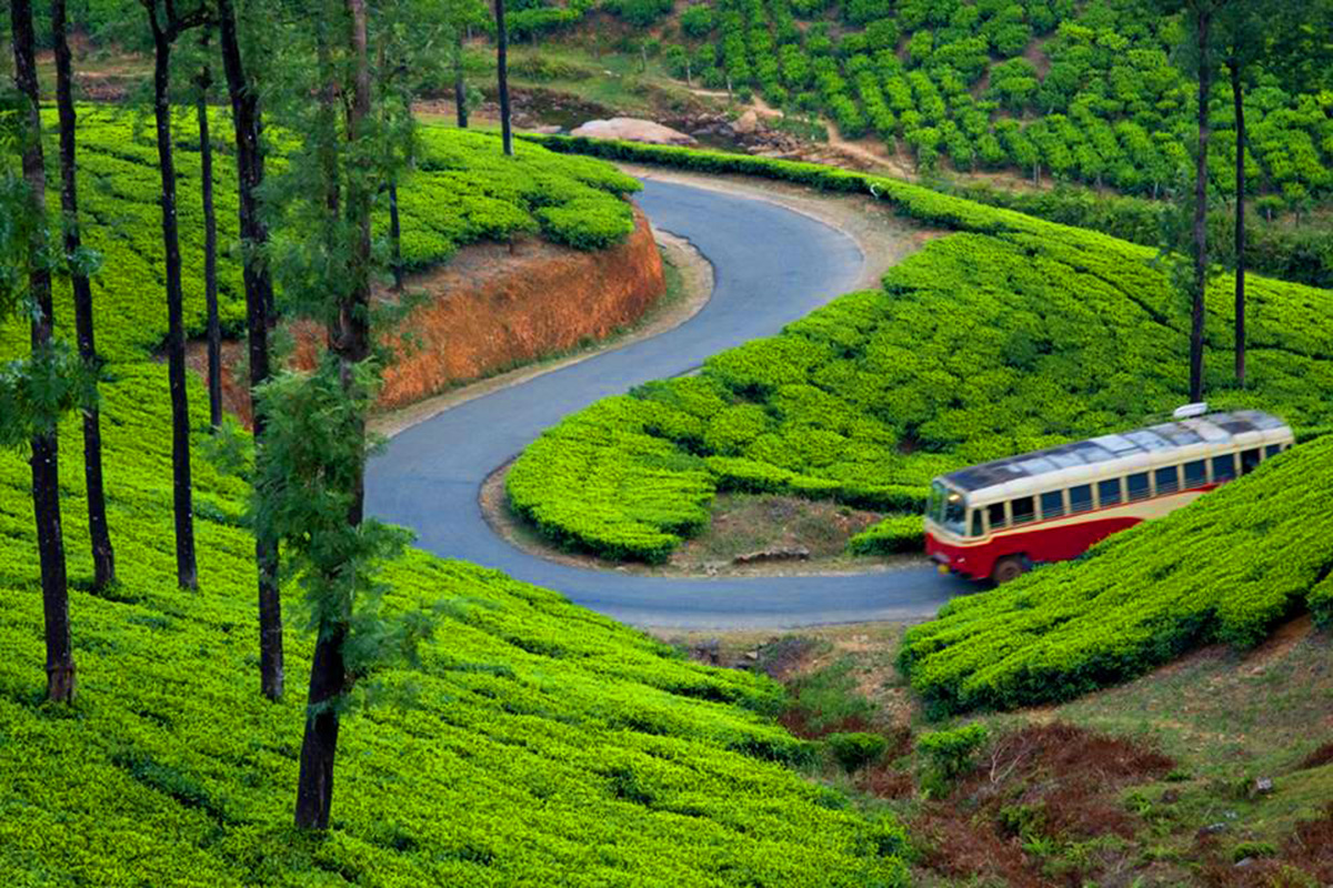 Kerala tour Package